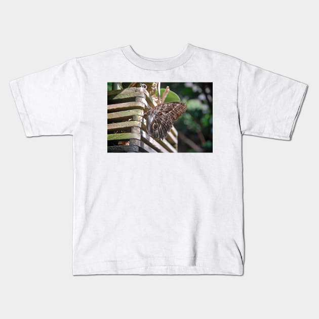 Winged Wood Kids T-Shirt by bobmeyers